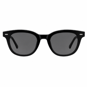 SUNGLASSES01